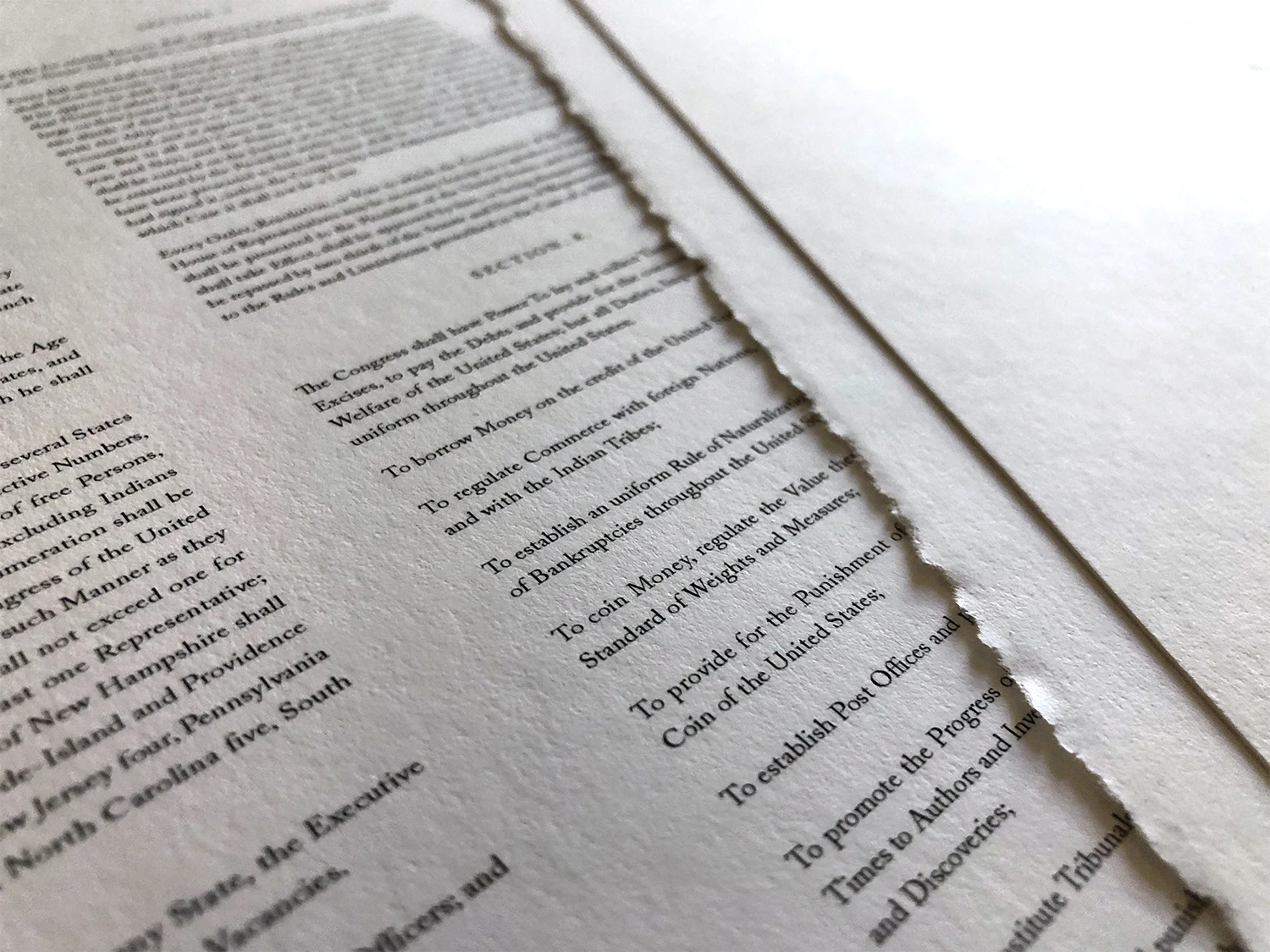 Detail of Rothridge Constitution Print