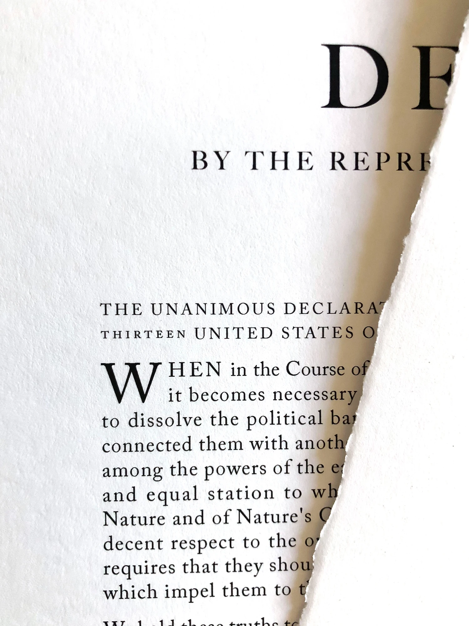 Detail of Rothridge Declaration Print