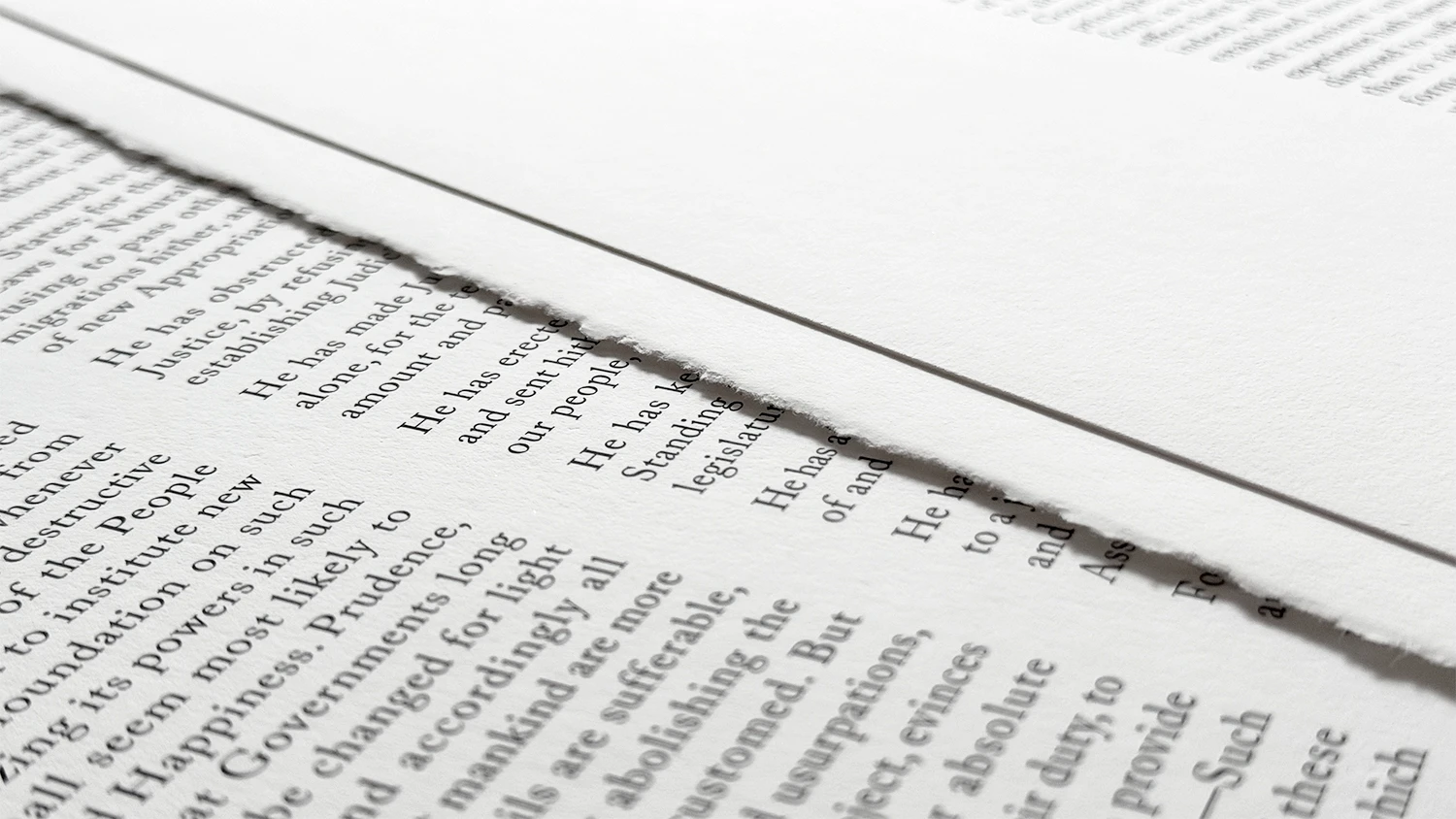Detail of Rothridge Declaration Print